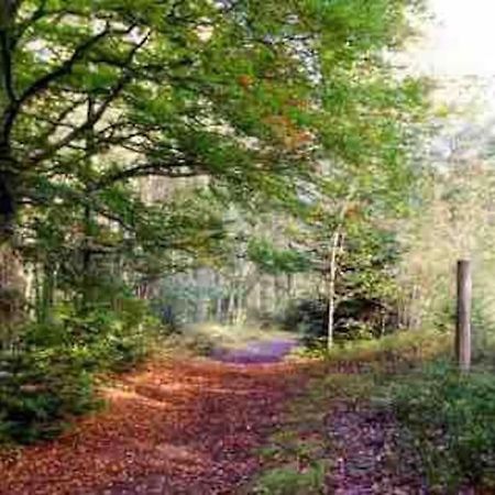 Hyggeligt Byhus Taet Ved Skov Og Togstation Aalbaek ภายนอก รูปภาพ